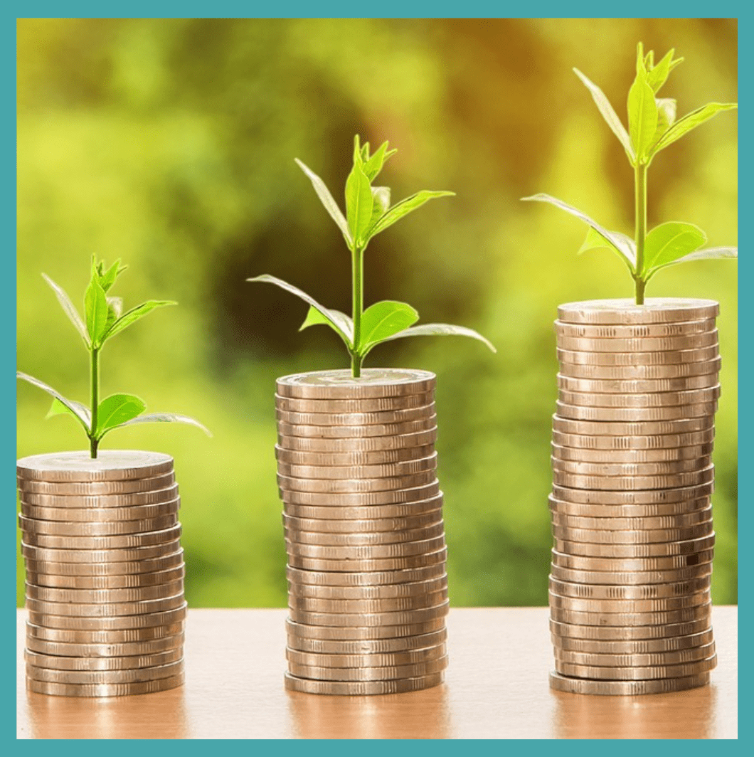 7 Estrategias de Economía Circular - Re-pot market