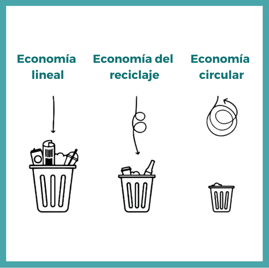 Economia circular - Re-pot market