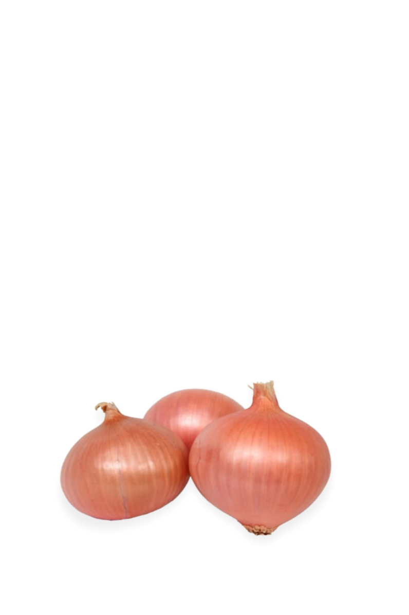 Onion Figueras Extra 1 unit (average unit weight 240 g)