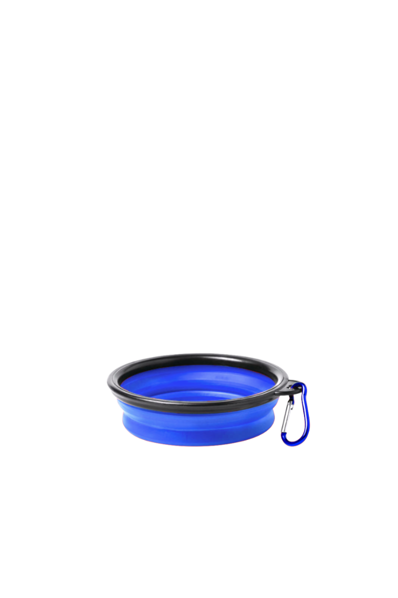 Collapsible Reusable Pet Bowl - Blue Color
