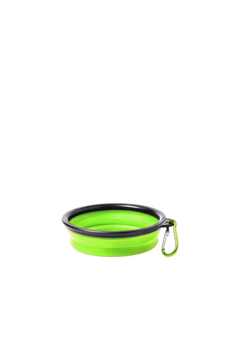 Collapsible Reusable Pet Bowl - Green Color