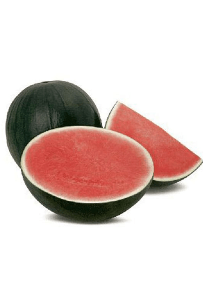 Sandía Negra S/P Extra (Peso medio unidad 3,65 Kg) - Re-pot market