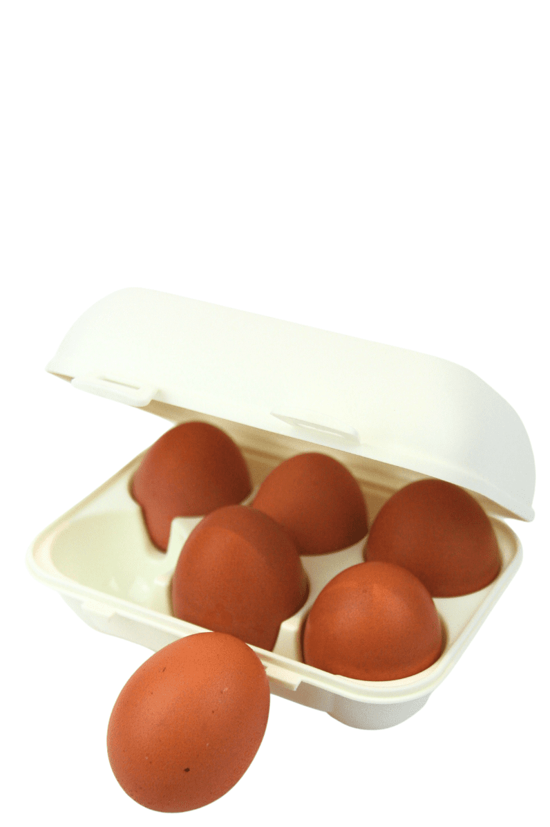 6 Huevos camperos talla L - Huevera retornable