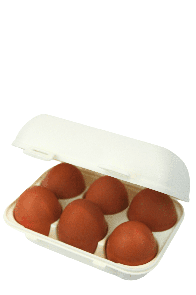 PELEG DESIGN - Egguins, Universal Huevos, Huevera, Huevera, Huevera, Divertido, Huevera negra, Caja de almacenamiento de huevos, Huevos  Superficie, Inserto para huevos