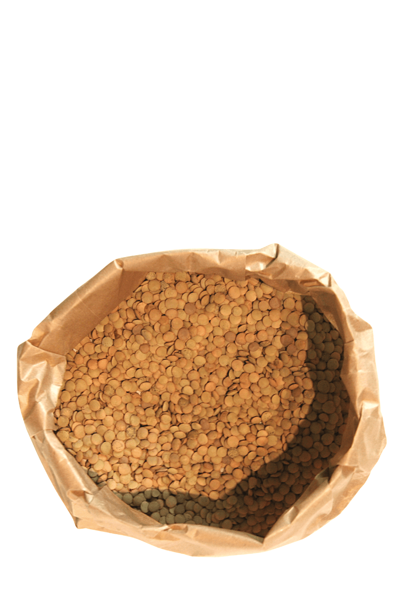 Lenteja Castellana 1 Kg Bolsa Kraft - Re-pot market