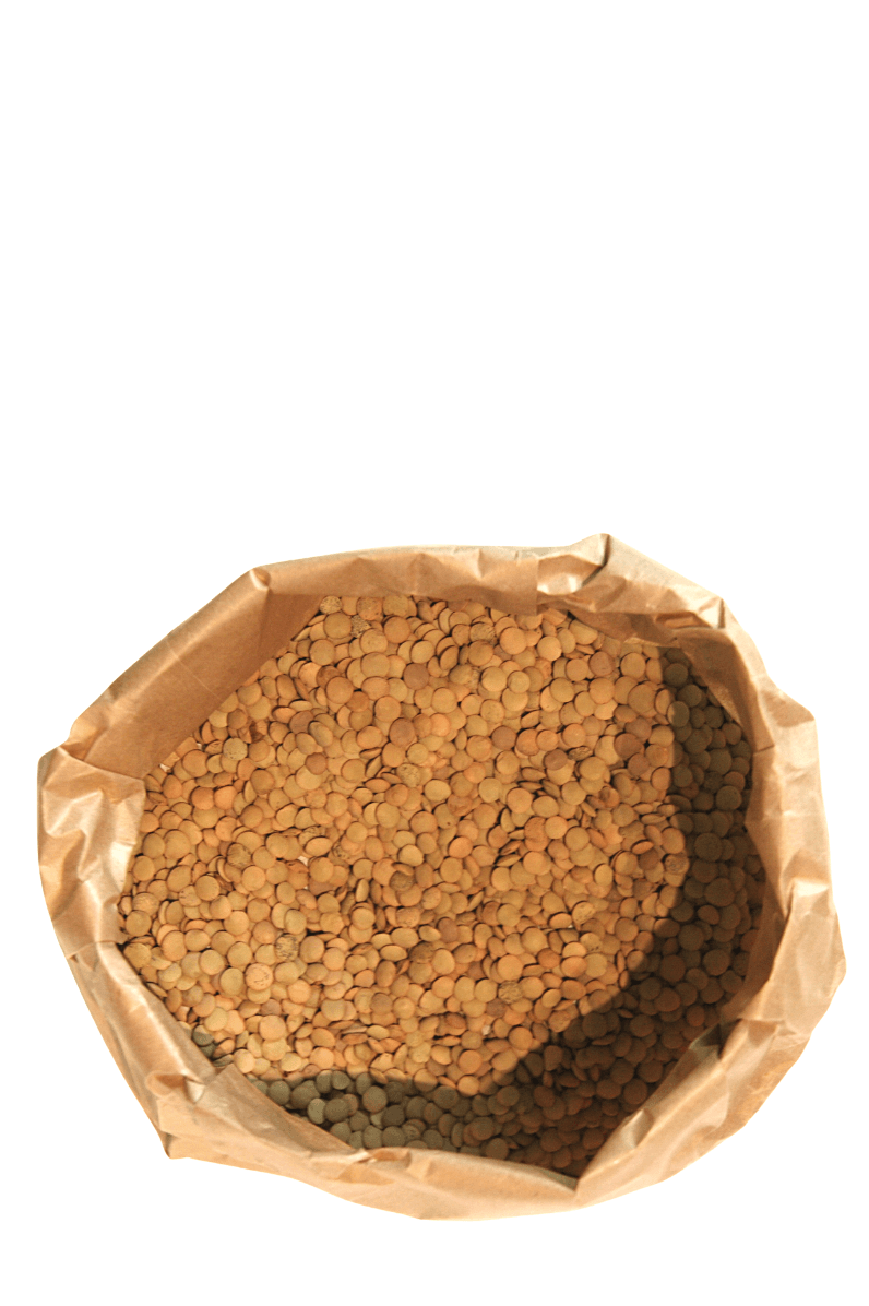 Lenteja Castellana 0,8 Kg Bolsa Kraft - Re-pot market