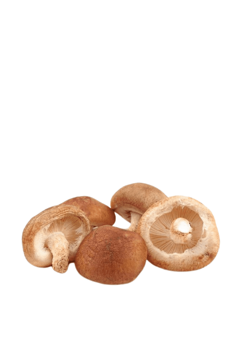 Shitake mushroom in Kraft bag 300 g