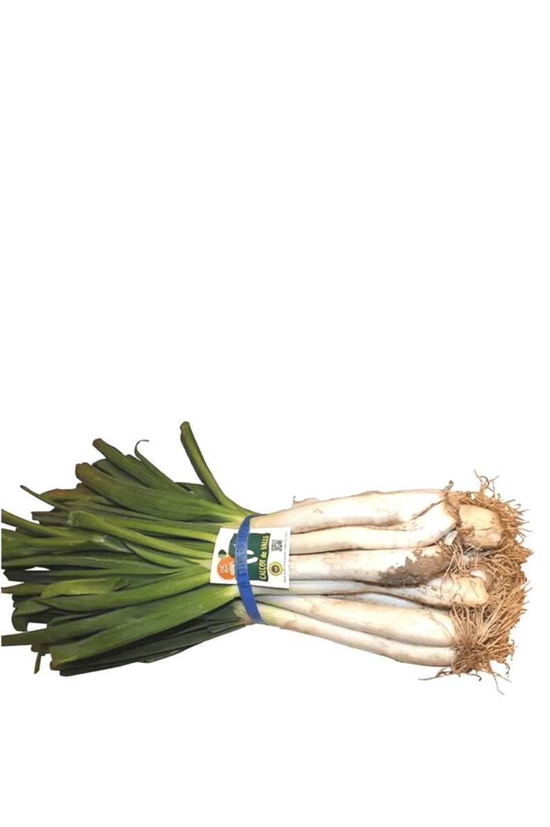 Calçots manojo 25 Ud