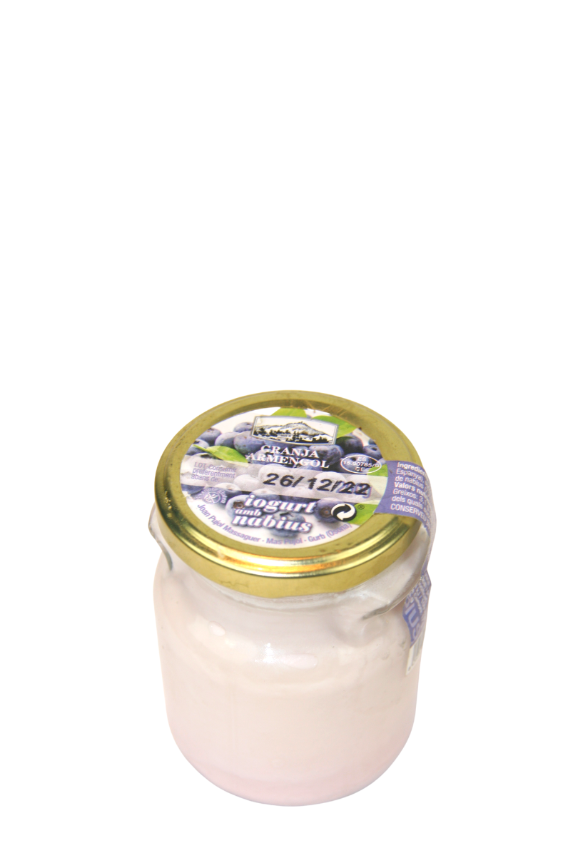 Iogurt artesà d'arandans en vidre retornable 260 g - Granja Armengol